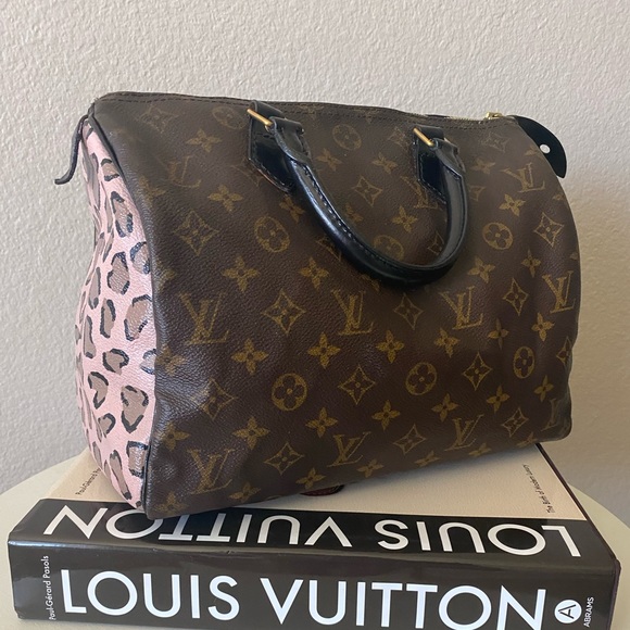 Louis Vuitton Handbags - Louis Vuitton Speedy 30 Custom Painted Dyed